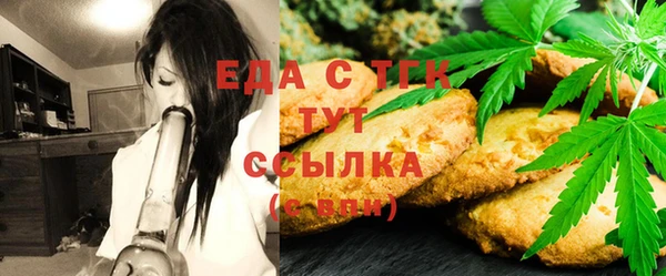 СК Алексин